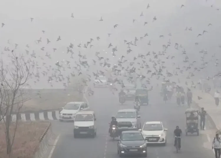 Contaminación del aire en Nueva Delhi alcanza el máximo nivel de riesgo por segundo día