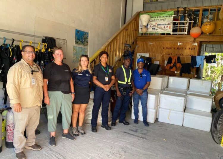 CODOPESCA y Nature Foundation Sint Maarten lideran operación internacional contra el tráfico de anguilas