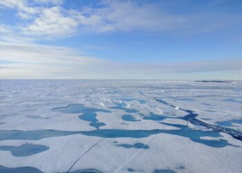 Un nuevo estudio anticipa un Ártico libre de hielo en 2027