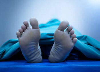 Mueren dos personas al estrellarse una avioneta en Hawái