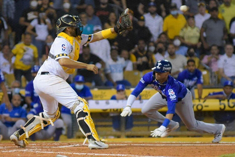 Licey enfrenta posible demanda en EE.UU. si no asiste a la serie en Puerto Rico