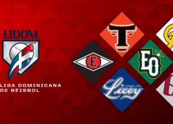 Liga de Béisbol Profesional de la República Dominicana (LIDOM)