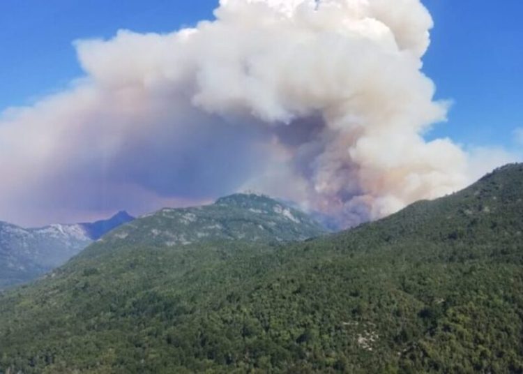 Incendio forestal devora miles de hectáreas del Parque Nacional más antiguo de Argentina