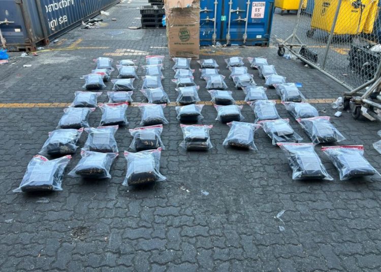 DNCD ocupa otros 95 paquetes de marihuana en puerto Haina