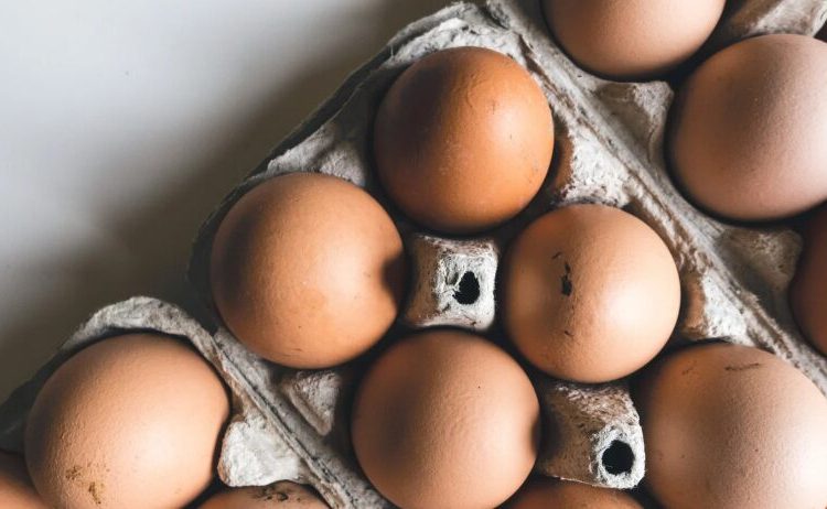 Donación de huevos en Nueva York termina a los 5 minutos ante la masiva demanda