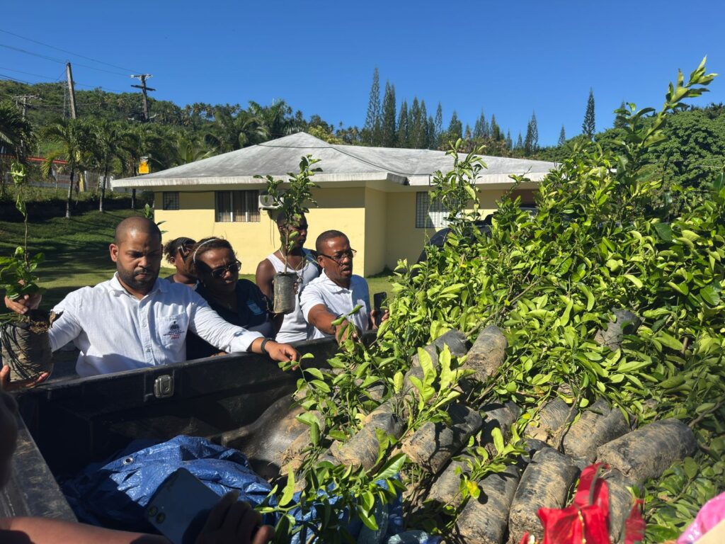 FEDA lanza programa "Siembra tu Patio en Familia" en Arroyo Barril | 3 | FEDA lanza programa "Siembra tu Patio en Familia" en Arroyo Barril | De Último Minuto