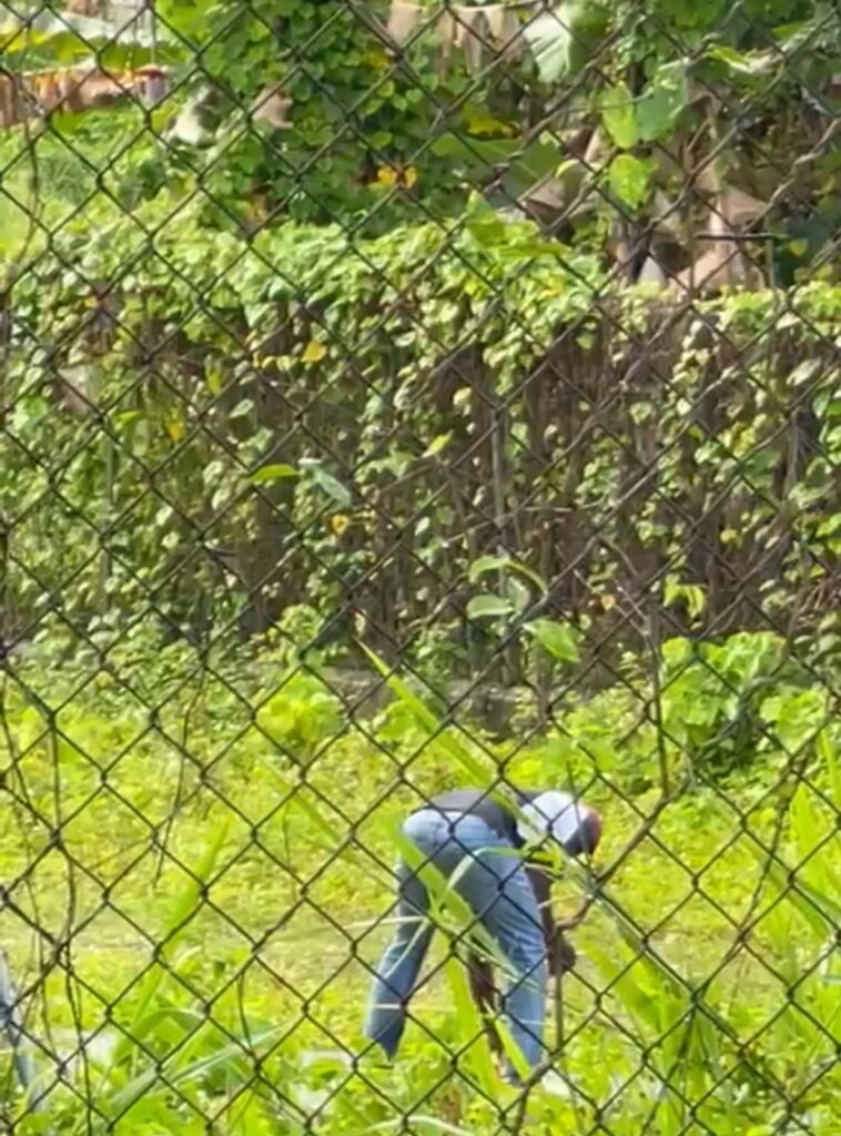 Preocupación por manipulación de sustancia veterinaria en tanque de agua potable en Samaná | 5 | Preocupación por manipulación de sustancia veterinaria en tanque de agua potable en Samaná | De Último Minuto