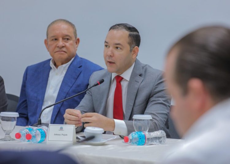 Johnny Pujols: “Iniciativa para regular candidaturas independientes cuenta con el respaldo del PLD»