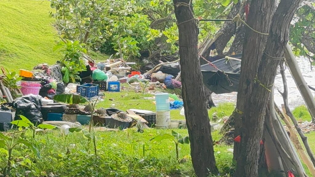 Alcaldía de Samaná recupera espacio de playa ocupado por ciudadano con problemas de salud mental | 2 | Alcaldía de Samaná recupera espacio de playa ocupado por ciudadano con problemas de salud mental - Noticias de hoy en República Dominicana | De Último Minuto
