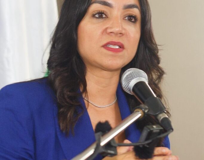 Homicidios en RD bajan 4.24 puntos, informa ministra de Interior y Policía