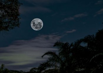 20 de julio: Día Internacional de la Luna en homenaje al primer paso fuera de la Tierra