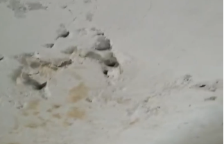 Denuncian condiciones deplorables en CPNA El Puerto, San Pedro de Macorís - Noticias de hoy en República Dominicana | De Último Minuto