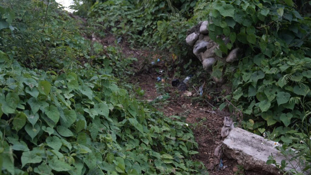 Residentes en Santa Clara, Manoguayabo, temen ocurra tragedia tras colapso de calle hace 6 años - Noticias de hoy en República Dominicana | De Último Minuto