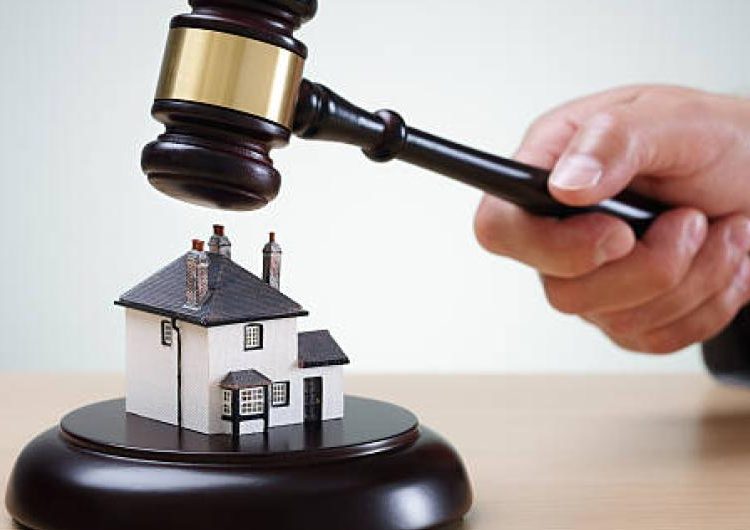 Jardín Botánico y otros bienes del Estado sin títulos de propiedad