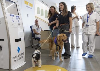 Terapeutas de cuatro patas en España para menores con conductas autolesivas y suicidas