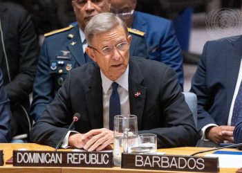 Álvarez urge al Consejo de Seguridad de la ONU actuar sin demora ante la crisis en Haití