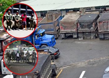 Detienen a ciudadanos e incautan camiones en operativos contra explotación ilegal de recursos naturales