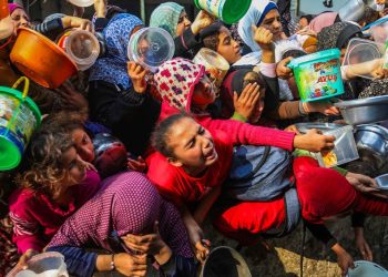 La Casa Blanca: Enviado de Trump entrará en Gaza