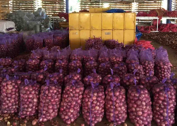 Productores e importadores de cebolla exigen pagos y permisos pendientes