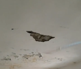 Denuncian condiciones deplorables en CPNA El Puerto, San Pedro de Macorís - Noticias de hoy en República Dominicana | De Último Minuto