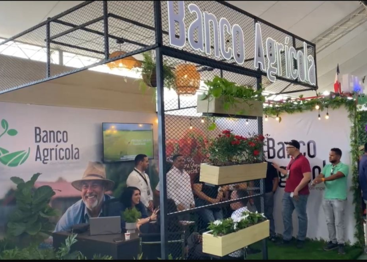 Festival de la Cosecha impulsa desarrollo en Constanza con apoyo de ALAVER y Magna
