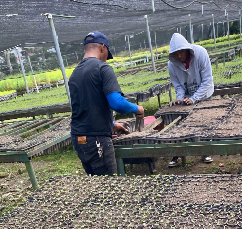 Inician primer campamento de protección ambiental con privados de libertad | 2 | Inician primer campamento de protección ambiental con privados de libertad