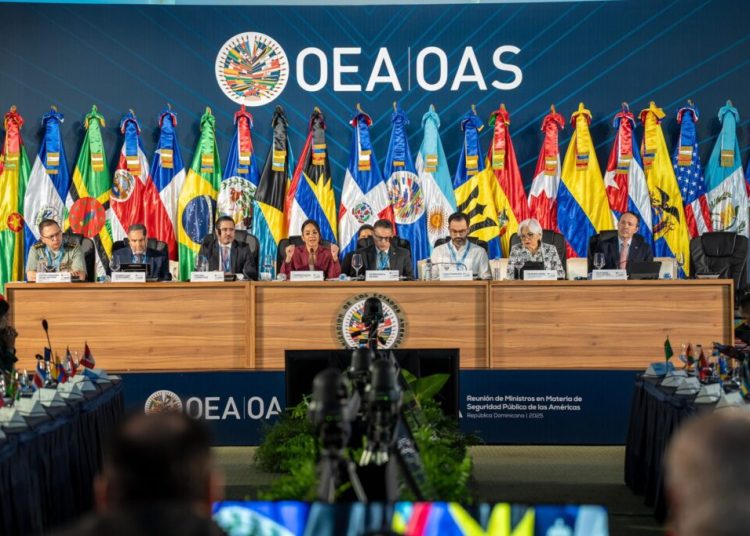 Faride Raful: “La transformación policial debe ser integral, democrática y orientada al servicio público”