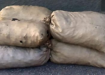 ERD ocupan sacos de carbón vegetal que eran transportados en animales en Elías Piña