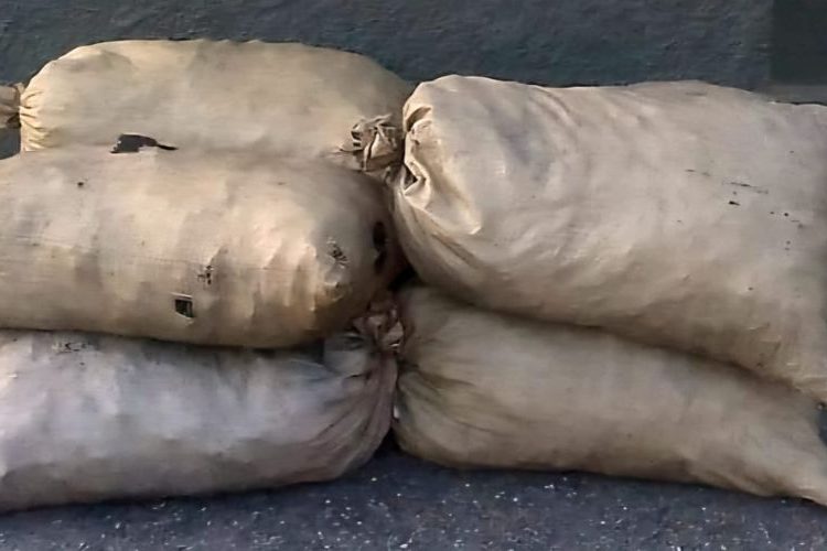 ERD ocupan sacos de carbón vegetal que eran transportados en animales en Elías Piña