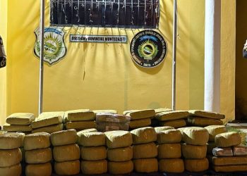 DNCD confisca cargamento de más de 1, 300 libras de presunta marihuana en Montecristi