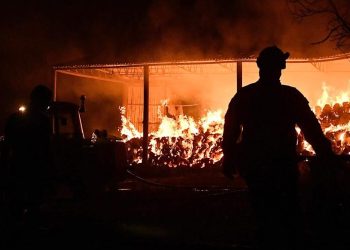 Más de 300 bomberos siguen luchando contra el incendio en el sur de Grecia