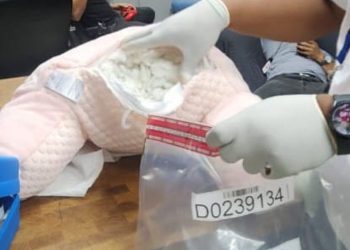 Inposdom: DNCD velones y otro peluche con fibras de cocaína