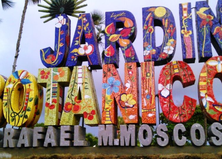 Jardín Botánico celebrará su 50 aniversario con amplia renovación y mejoras estructurales