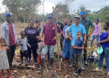 Parceleros denuncian intento de despojo de tierras en Los Arroyos, Monte Plata