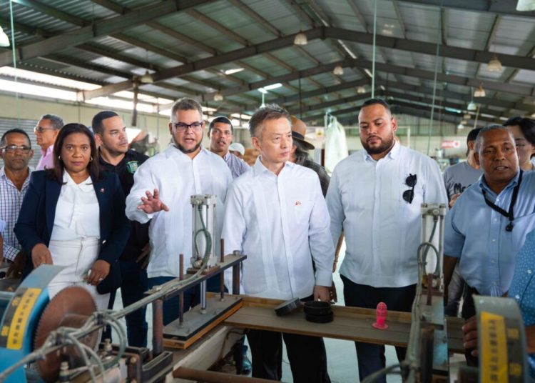 China y RD coordinan acciones para relanzar procesadora de bambú en Bonao