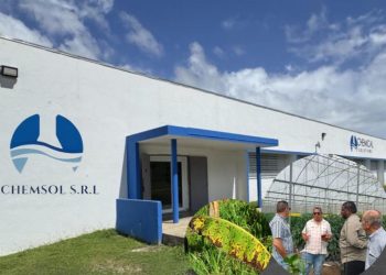 Empresa puertorriqueña CHEMSOL lanza en RD producto 100% natural que elimina la Sigatoka Negra