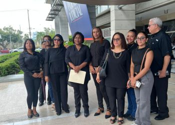 PLD exige acciones urgentes ante alarmante aumento de feminicidios en el país