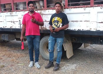 Autoridades retienen en Dajabón camión con 22 reses que no cumplían las regulaciones de saneamiento