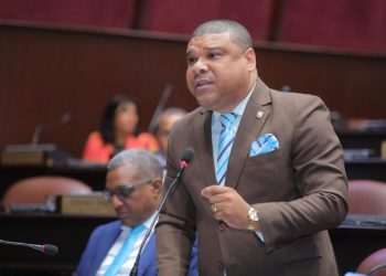 Diputado Ramón Raposo critica falta de políticas contra violencia intrafamiliar