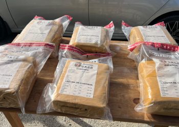 Ocupan 140 paquetes de marihuana en operaciones de interdicción ejecutadas en el AILA y Barahona