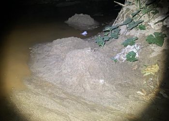 SENPA realiza operativos para proteger el ambiente en distintas zonas de Constanza