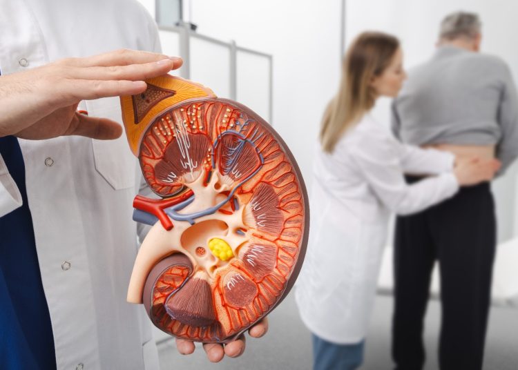 Innovaciones transforman el panorama de pacientes con cáncer renal