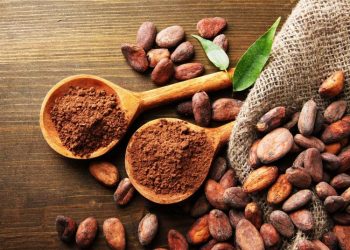 7 de julio: Día Mundial del Cacao, «el alimento de los Dioses»