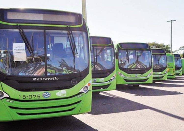 Anuncian la expansión del servicio de la OMSA en Ciudad Juan Bosch