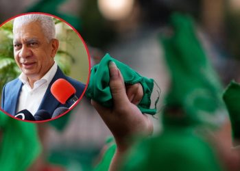 Presidente del Senado sobre las tres causales: “Ya está contemplado en el Código y en la Constitución”