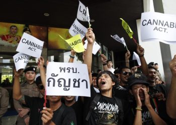 Vendedores y granjeros protestan en Bangkok ante amenaza de volver a penalizar el cannabis