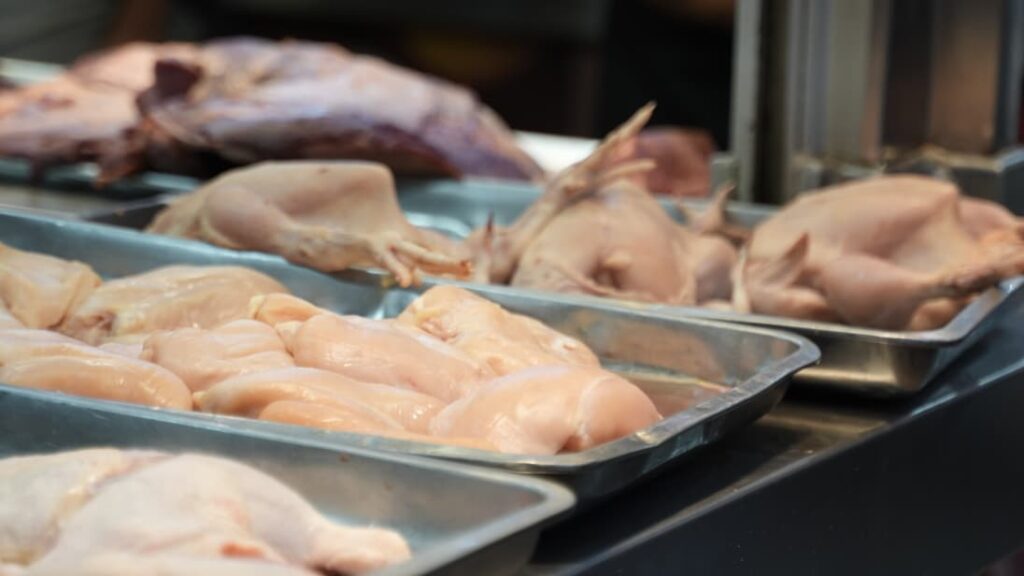 Comerciantes de la Ciudad Ganadera desmienten que el precio del pollo esté a 125 pesos la libra | 4 | Comerciantes de la Ciudad Ganadera desmienten que el precio del pollo esté a 125 pesos la libra - Noticias de hoy en República Dominicana | De Último Minuto