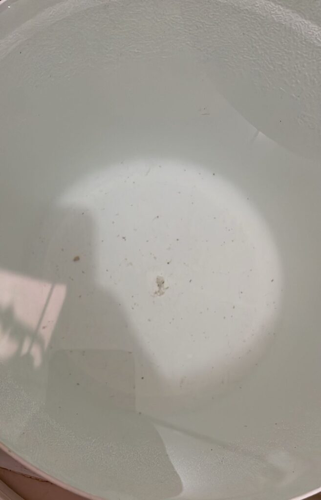 Residentes en el Residencial Juan Rafael denuncian agua contaminada - Noticias de hoy en República Dominicana | De Último Minuto