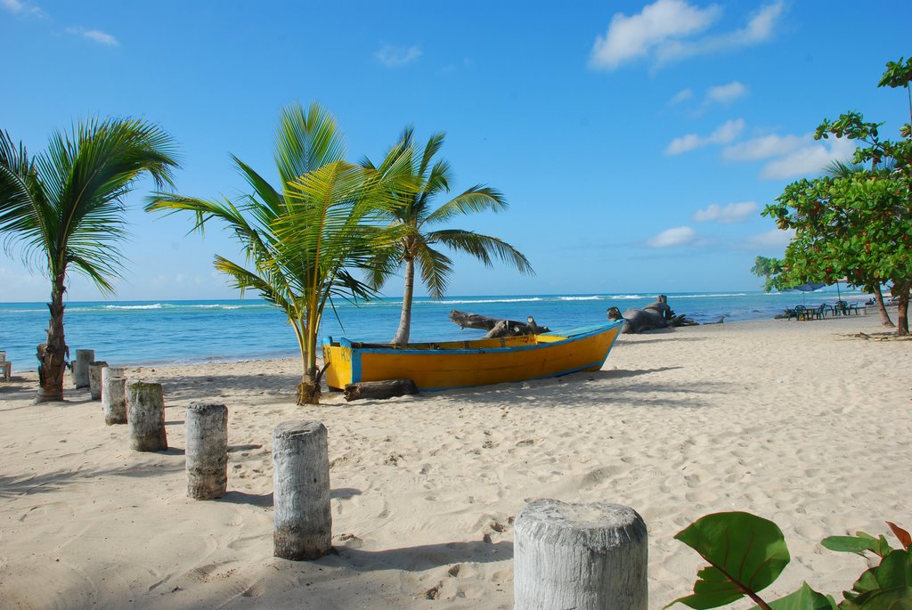 San Pedro de Macorís: Cuna de pasión, cultura y orgullo dominicano | 4 | San Pedro de Macorís: Cuna de pasión, cultura y orgullo dominicano - Noticias de hoy en República Dominicana | De Último Minuto