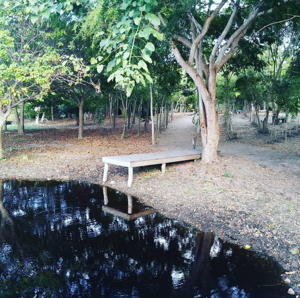 San Pedro de Macorís: Cuna de pasión, cultura y orgullo dominicano | 8 | San Pedro de Macorís: Cuna de pasión, cultura y orgullo dominicano - Noticias de hoy en República Dominicana | De Último Minuto